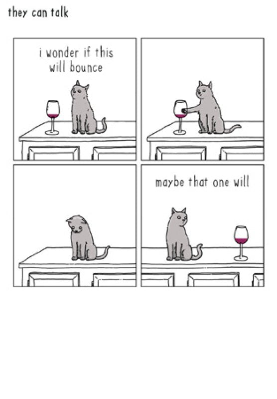 Cat: "Will This Bounce?" - They Can Talk cards
