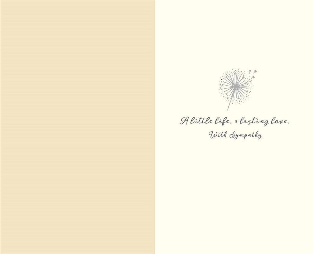 On the loss of your baby - sympathy card
