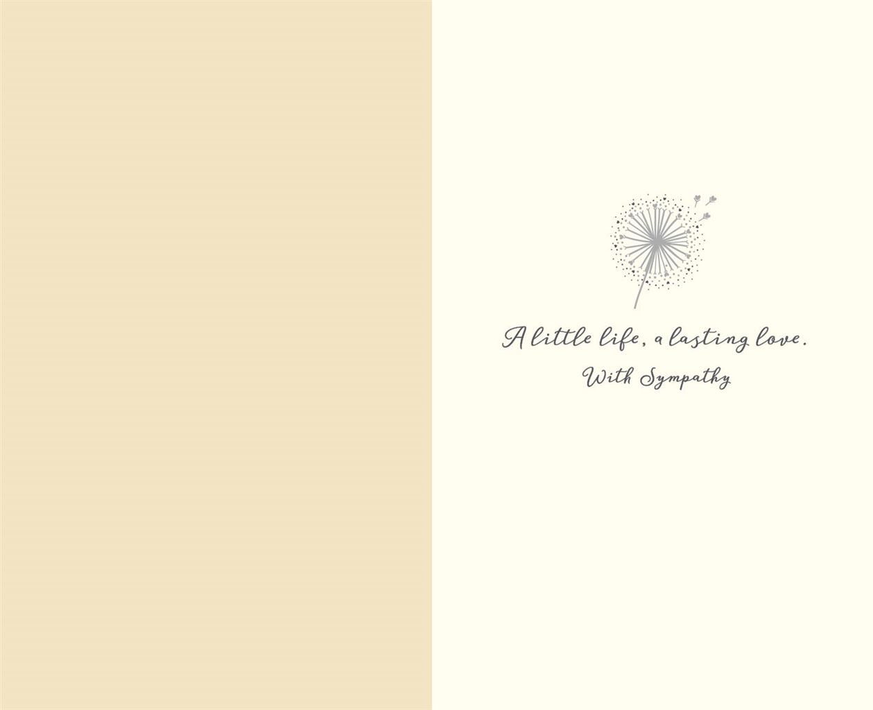 On the loss of your baby - sympathy card