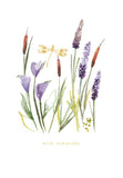 Dragonfly in the Rushes - Sympathy card