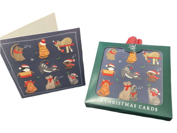 Christmas cats - Box of 12 Christmas cards