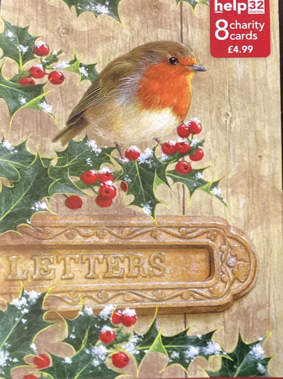 Robin and holly - Pack of 8 Charity Christmas cards