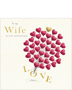 To my Wife on our Anniversary card