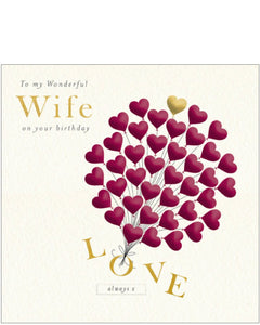 To my Wonderful Wife - Birthday card