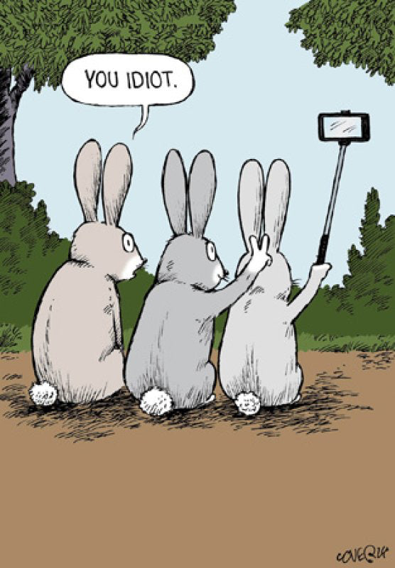 Speed Bump Rabbit Selfie - Funny Card