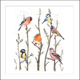 British Garden Birds by Maria Belen Galizzi - blank greetings card