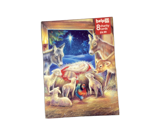 In the manger - Pack of 8 Charity Christmas cards