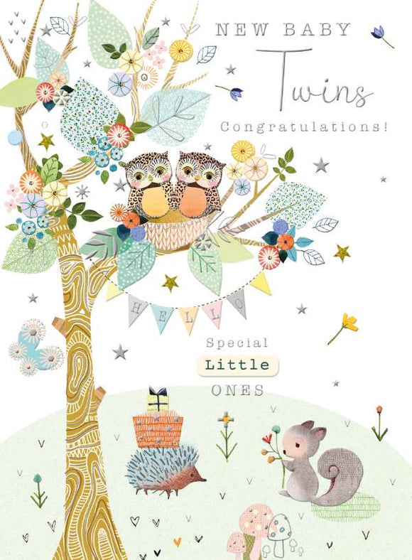 This lovely new baby card to celebrate the arrival of twins is decorated with a tree with two cute baby owls together in a nest. The text on the card reads 