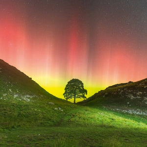 Sycamore Gap - Countryfile blank card