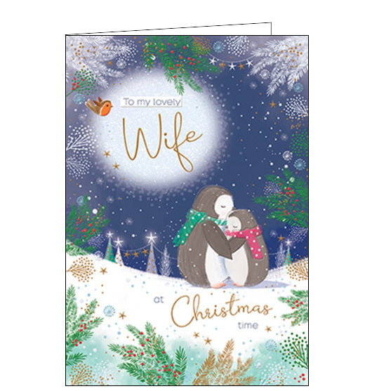 This adorable Christmas card for a very special wife is decorated with two cartoon penguins, wrapped up in winter scarves, holding each other close in front of a beautiful snowy, nighttime backdrop.The text on the front of the card reads 