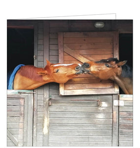 Two affectionate horses lean out of their adjoining stables to share “a kiss” on this lovely photographic card by Priya Dadry.