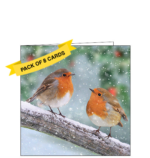 Two robins - Pack of 8 Charity Christmas cards