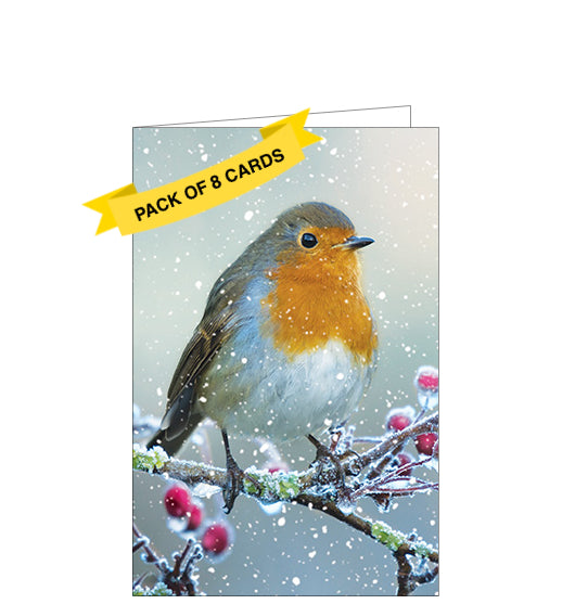 This set of 8 charity Christmas cards features a traditional, festive image of a Robin on a tree branch in the snow. This timeless visual is sure to bring a little joy to your holiday greetings. Support a charitable cause with each card you send, knowing proceeds will go towards a great cause.