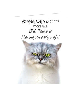 This funny birthday card is decorated with a photograph of a grumpy grey cat. The caption on the front of the card reads "Young, wild and free? More like old, tame and having an early night!"