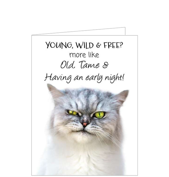 This funny birthday card is decorated with a photograph of a grumpy grey cat. The caption on the front of the card reads 