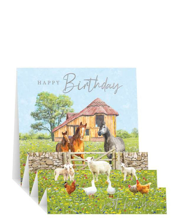 Farmyard Animals - Pop up Birthday card