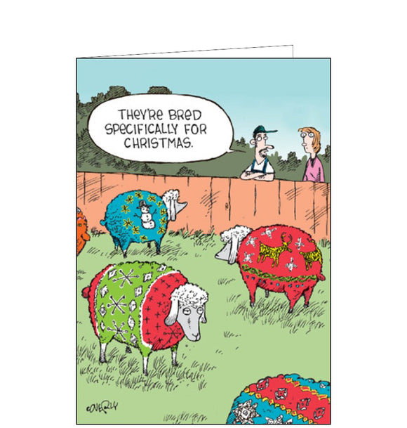 This funny Christmas card features a cartoon showing a man and woman looking over a fence at a herd of sheep - who all have ugly Christmas jumper style fleece. 
