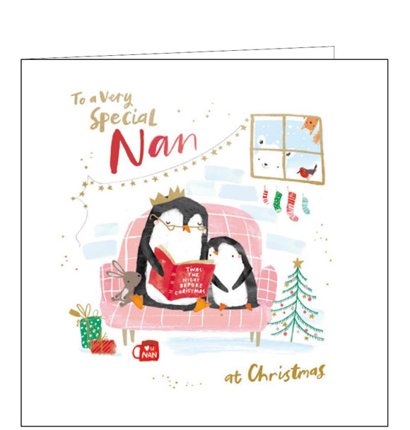 This cute Christmas card for a special nan is decorated with an illustration of a nan penguin and a grandchick curled up on the sofa together to read a story. The caption on the front of the card reads 