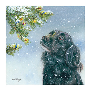 On this beautiful Christmas card by Bree Merryn a black dog named Sasha is looking up at the lights on an outdoor Christmas tree as he sits in the falling snow.&nbsp;