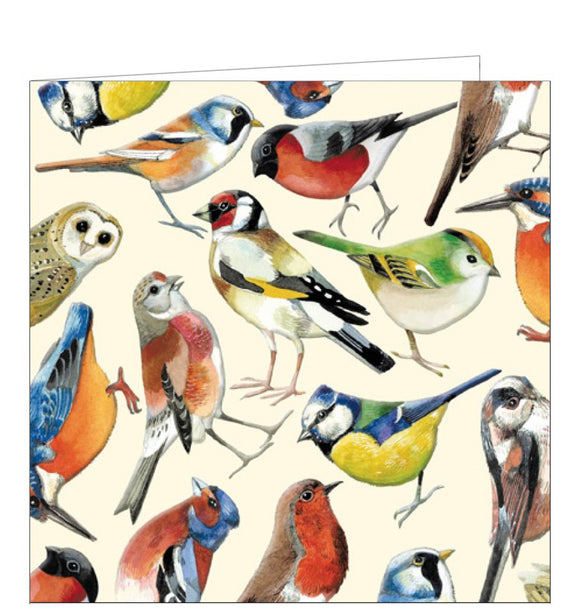 This stunning blank card from Emma Bridgewater features illustrations of common British birds, painted in Emma’s typically bold colours. This card is suitable for any bird lover, whatever the occasion.