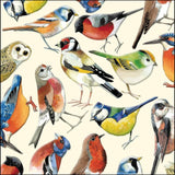 Countrybirds - Emma Bridgewater blank greetings card