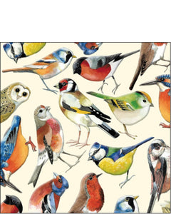 This stunning blank card from Emma Bridgewater features&nbsp;illustrations of&nbsp;common British birds, painted in Emma’s typically bold colours.&nbsp;This card is suitable for any bird lover, whatever the occasion.