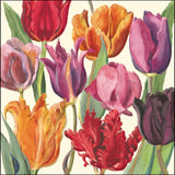 Tulips  - Emma Bridgewater blank card