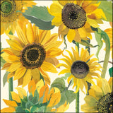 Sunflowers  - Emma Bridgewater blank card