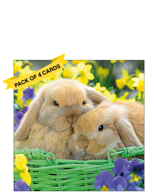 Two Easter Bunnies - Pack of 4 Easter cards