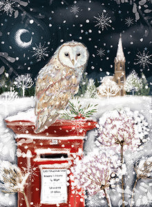 Barn owl - Pack of 8 Charity Christmas cards