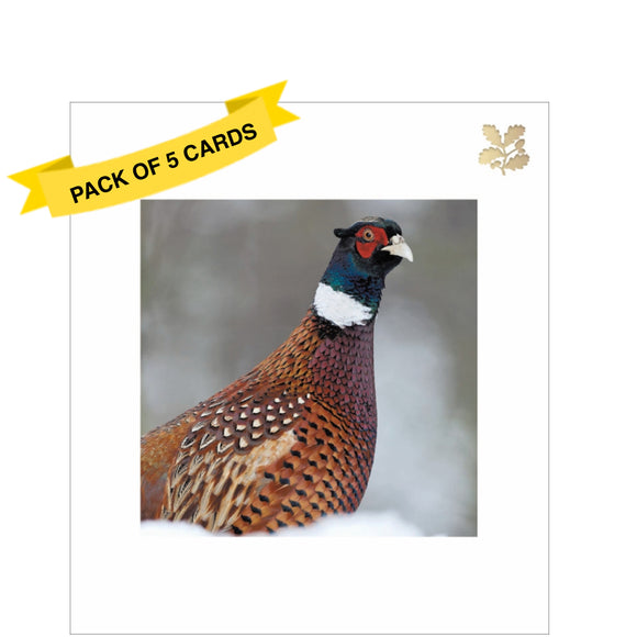 This pack of charity Christmas cards includes 5 cards of one design. The front of the cards is decorated with a small photograph of a pheasant in the snow. The rest of the card is pure white with an embossed golden National Trust symbol in the top right corner.