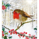 Festive Robin - Pack of 5 charity Christmas cards