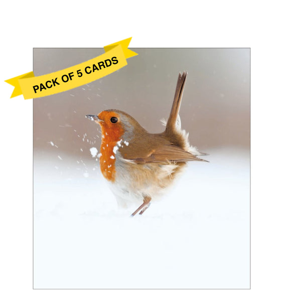 This pack of charity Christmas cards contains 5 cards of one design. The front of the cards are decorated with a beautiful photograph of a robin kicking up snow.