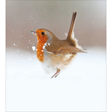 Winter Friend - Pack of 5 charity Christmas cards