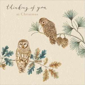 This thinking if you at Christmas card is perfect for letting a loved one know they are in your thoughts at a hectic time of year. The caption on the front of the card reads "thinking of you at Christmas" and is decorated with a pair of sepia-toned owls.