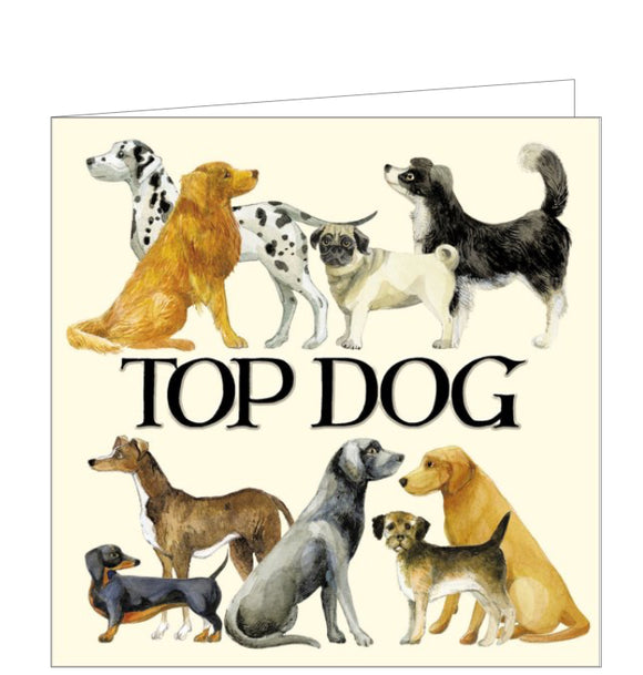 This blank card by Emma Bridgewater features a beautiful illustration of all shapes and size of dogs against her signature creamy background. Large text in black reads 