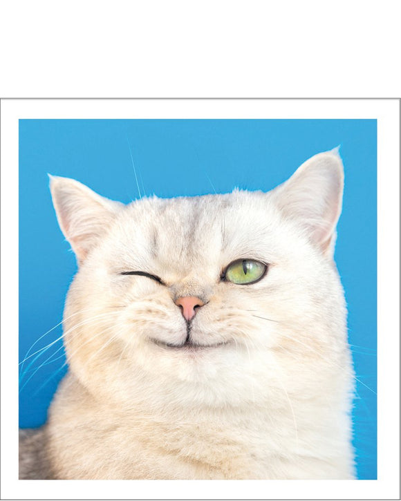 Hey Cheeky - Cattitude greetings card