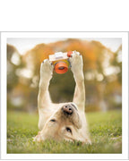 Cheese! - Loose Leashes greetings card
