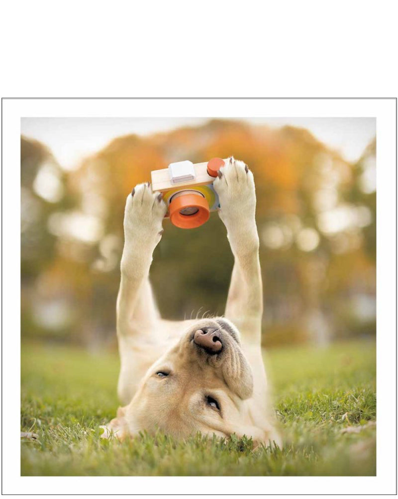 Cheese! - Loose Leashes greetings card