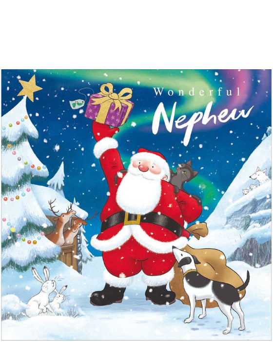 Special Nephew - Christmas card