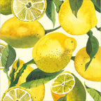 Vibrant Lemons - Emma Bridgewater card