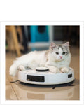 Cleanopatra - Cattitude greetings card