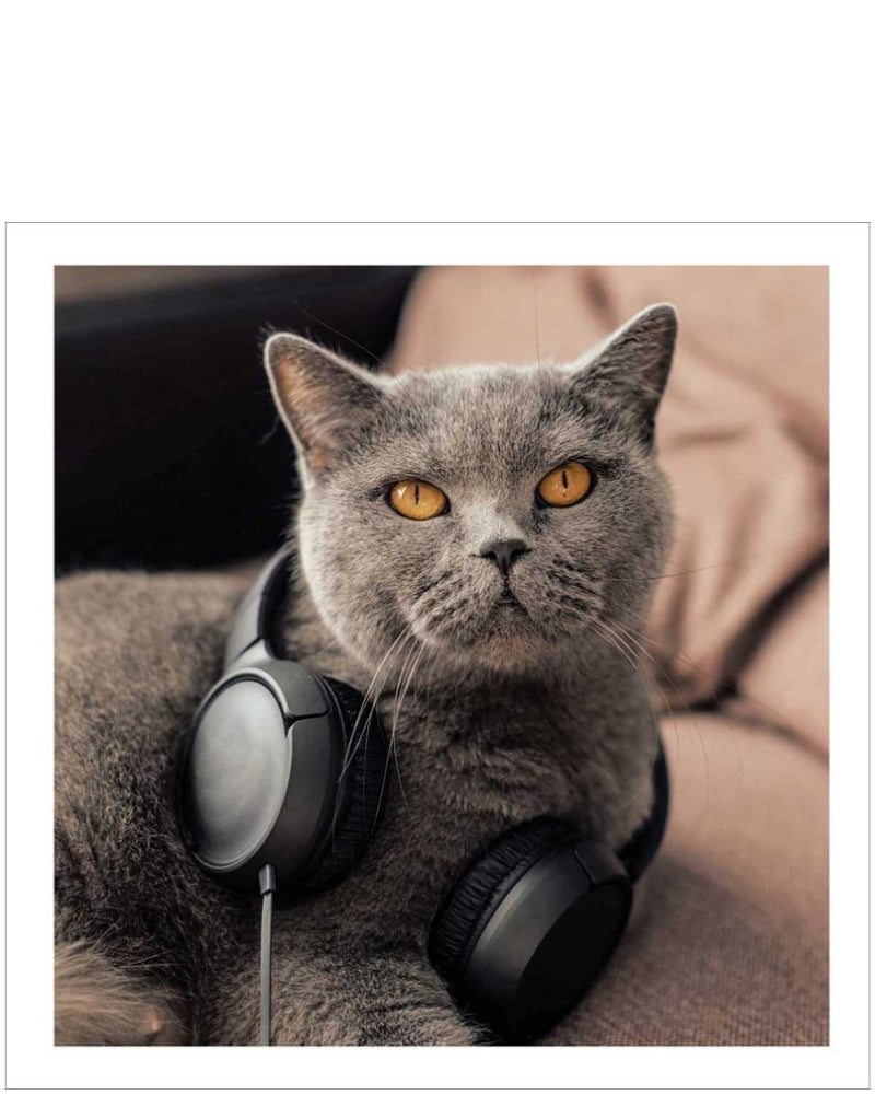 Easy Listening - Cattitude greetings card