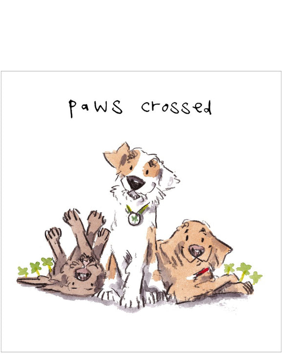 Paws crossed - good luck card