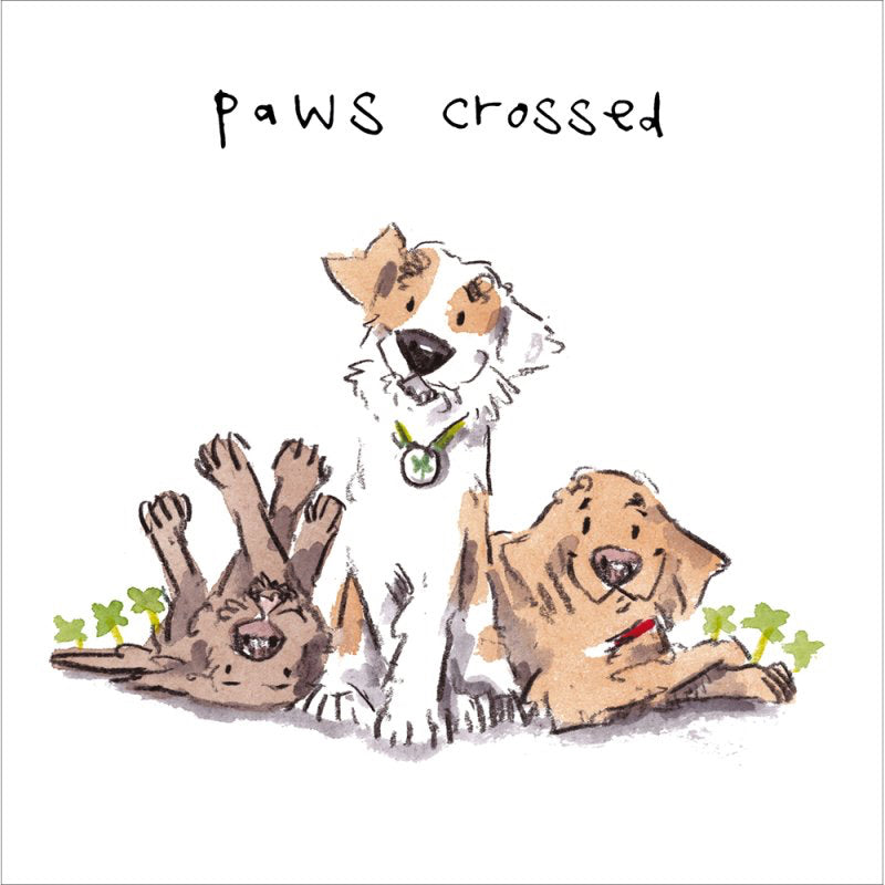 Paws crossed - good luck card