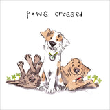Paws crossed - good luck card
