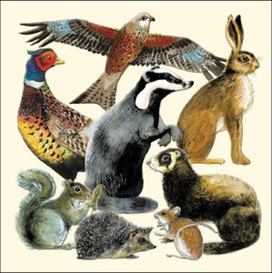 Wildlife - Emma Bridgewater Blank card