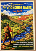Yorkshire Dales.   Cowshed cards