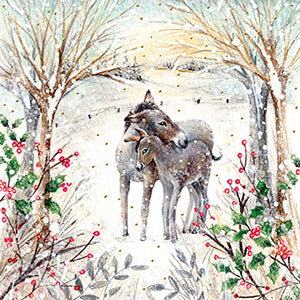 Two donkeys - Pack of 5 Charity Christmas cards