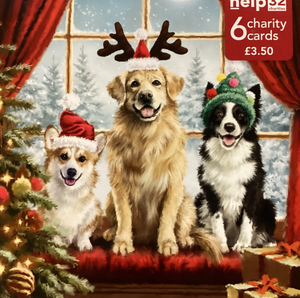 Three dogs in the window - Pack of 6 Charity Christmas cards